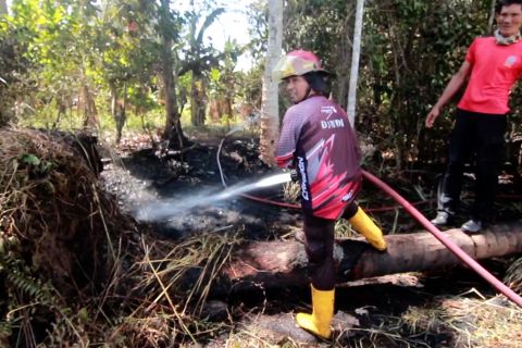 Karhutla di dua kawasan hutan konservasi Sumbar berhasil dipadamkan