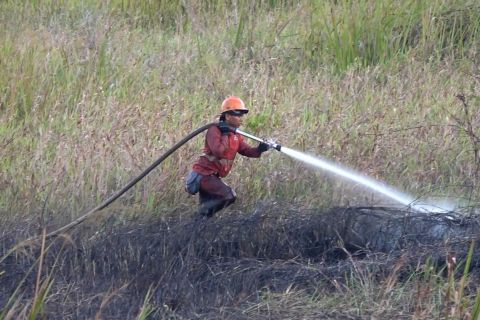 Balai Dalkarhut perkuat peran masyarakat kendalikan karhutla di Sumsel