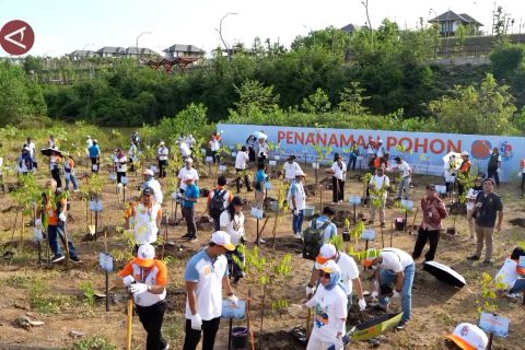 Eksplorasi petualangan hijau di IKN