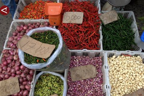 Strategi pemerintah jaga inflasi Sumatera Selatan di angka 0,08 persen