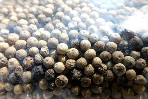 Wamentan imbau semua pihak pacu peningkatan ekspor rempah-rempah