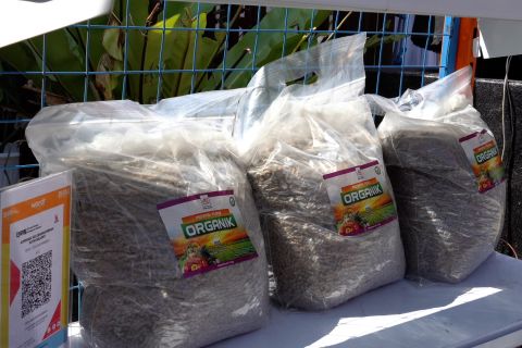 Pupuk limbah udang, produk unggulan Koperasi Merah Putih di Tarakan