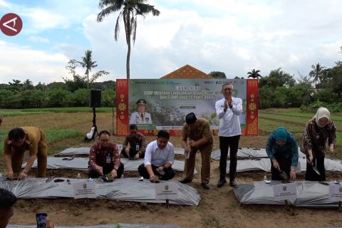 Pemerintah Sumsel bangun kemandirian pangan demi jaga inflasi daerah