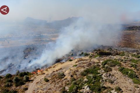 Seorang pria meninggal karena hirup asap kebakaran hutan di Turki