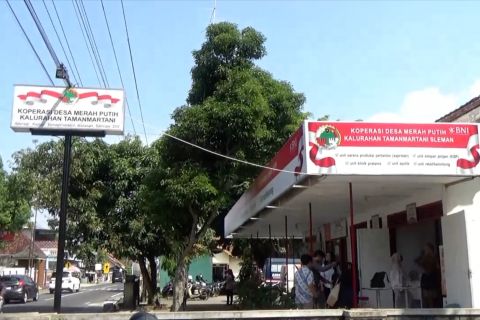 Susun skala prioritas agar Kopdes dan BUMDes tidak tumpang tindih