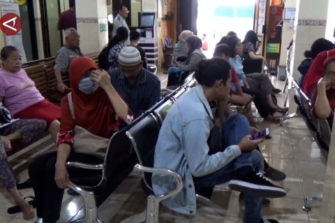 Penyakit kencing tikus di Yogya: 19 kasus, 6 meninggal dunia