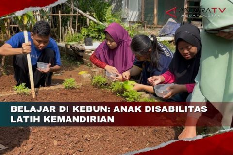 Belajar di Kebun: Anak disabilitas latih kemandirian