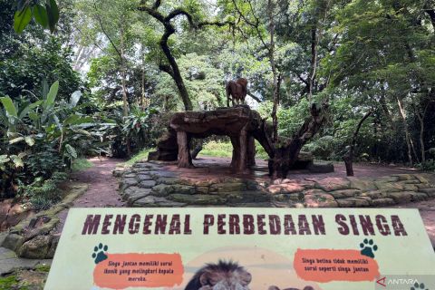 Pakar Hukum: Bandung Zoo harus tetap buka meski jadi barang sitaan