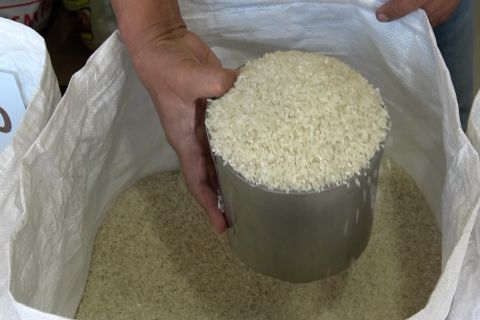 Harga dan stok beras terkini di Padang