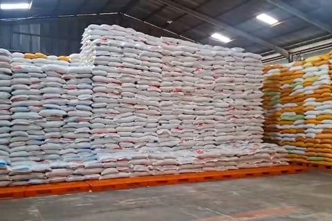 Papua siapkan 19 ton beras CBP untuk atasi rawan pangan