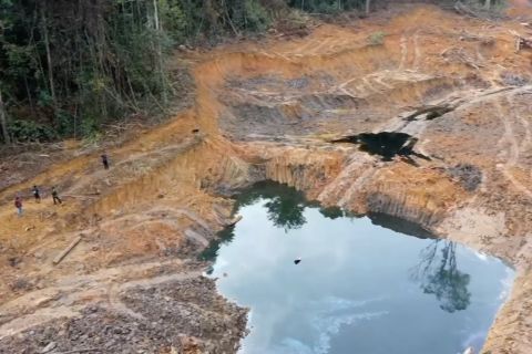 Tersangka perusak hutan ditetapkan, Kemenhut segera benahi hutan Unmul