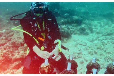 Desa Namu tawarkan wisata ragam pesona bahari