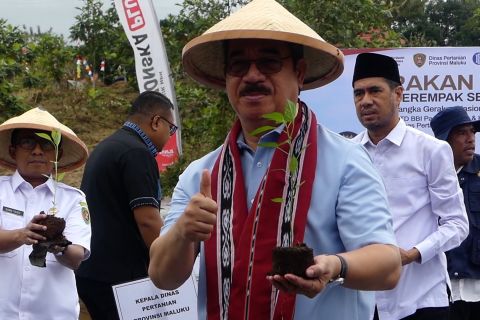 Gubernur Maluku pimpin gerakan serentak tanam 100 ribu anakan cabai