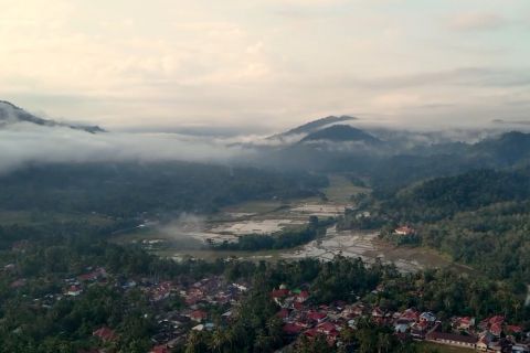 Sumbar dapat dana 3,5 juta dolar kembangkan perhutanan sosial