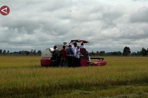 Sumsel antisipasi gagal panen di lahan lebak akibat cuaca ekstrem