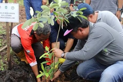 Pengelola hutan Kubu Raya gencarkan program RHL 2025