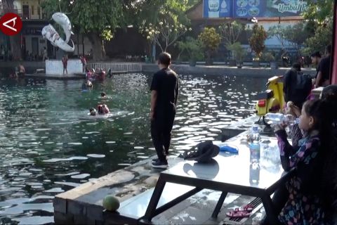 Wisata permandian air Desa Ponggok hasilkan PADes Rp6 miliar per tahun