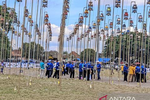 Burung Perkutut Piala Raja Hamengku Buwono Cup 2025