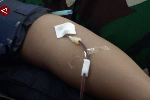 Bakti kesehatan gratis jadi wujud HUT ke-80 TNI di Papua