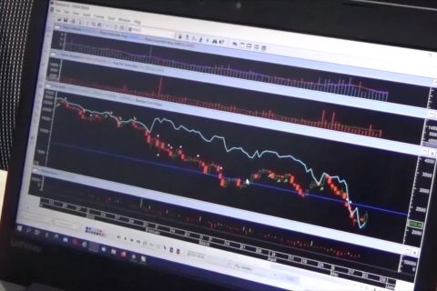 Generasi muda dominasi investor pasar modal di Sultra