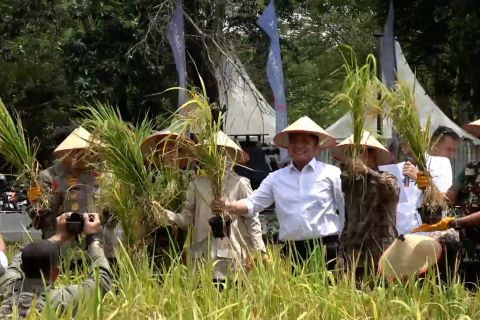 Inovasi padi apung ditampilkan di gebyar perbenihan nasional