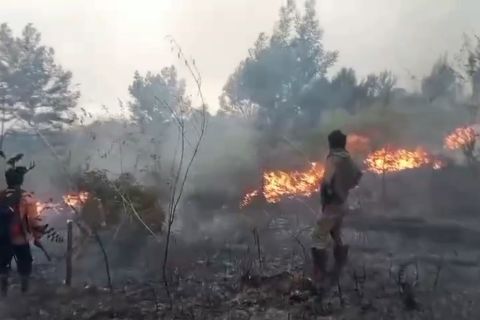 Karhutla di TN Gunung Rinjani tak pengaruhi aktivitas pendakian