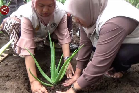 Alumni magang usaha tani Gunungkidul difasilitasi untuk berwirausaha
