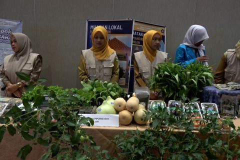 Sumsel terapkan muatan lokal 