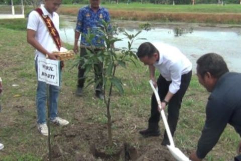 PKK Tanjabtim - BWSS VI Jambi tanam pohon jaga keseimbangan alam