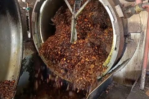 Hilirisasi sawit di Kaltim pacu produksi biodiesel nasional