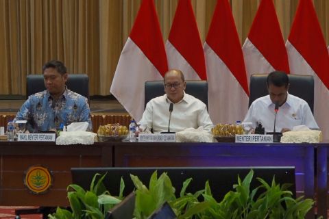 Kementan-BKPM investasi Rp371T untuk hilirisasi pertanian & perkebunan