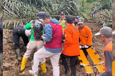 Longsor Banjarnegara, 27 orang dalam pencarian tim gabungan