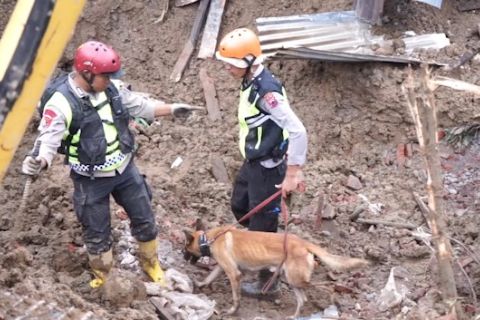 K9 temukan 6 titik baru, 18 korban longsor Banjarnegara masih hilang