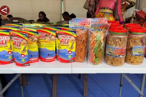 Wamen Helvi minta BP Batam berdayakan aset yang dikelola untuk UMKM