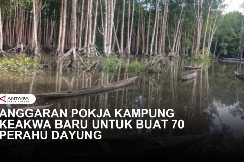 POKJA KAMPUNG KEAKWA BARU BUAT 70 PERAHU DAYUNG UNTUK WARGA