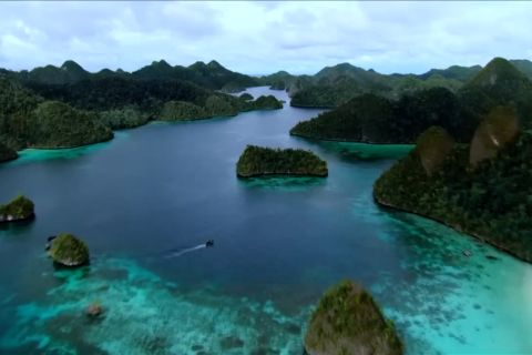Presiden ingatkan pemda jaga kelestarian Raja Ampat yang termasyhur