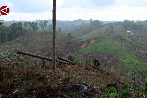 Atasi kerusakan hutan Bukit Soeharto, OIKN pasang tanda peringatan
