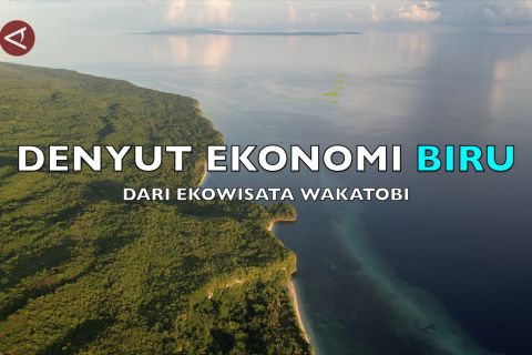 Denyut ekonomi biru dari ekowisata Wakatobi