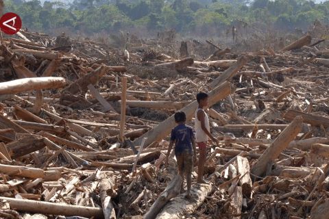 Tumpukan kayu gelondong isolasikan desa di Aceh Tamiang dari bantuan