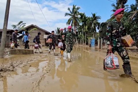 BNPB: TNI dapat uang makan dan lelah saat bertugas di daerah bencana