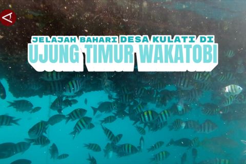 Jelajah bahari Desa Kulati di ujung Timur Wakatobi