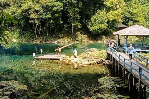 Kaltim kelola hutan berbasis masyarakat untuk ekonomi berkelanjutan