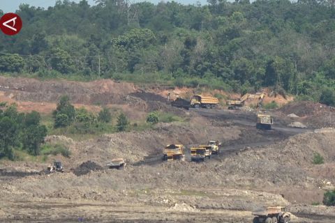 Jalan angkut dibangun, perusahaan tambang diminta lakukan stockpile