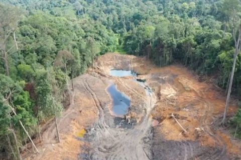 Kemenhut cabut 22 izin pemanfaatan hutan yang dinilai bermasalah