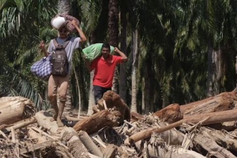 Kemendagri bentuk tim pemulihan dokumen korban bencana