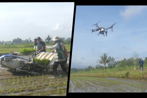 Terima bantuan alsintan modern, Temanggung pacu produktivitas padi