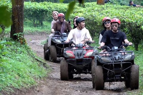 Jajal keseruan dan kesegaran alam Agrowisata Gunung Mas Puncak, Bogor