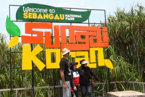 Sebangau, surga ekowisata gambut yang memikat wisatawan