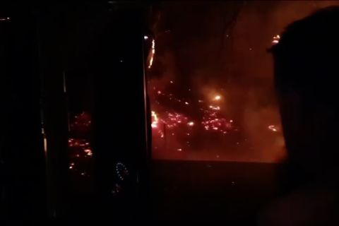 Australia umumkan status darurat, 1 orang tewas di area kebakaran