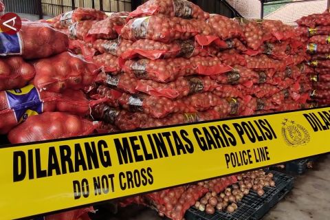 Kementan sita ratusan ton bawang bombai ilegal di Kota Semarang